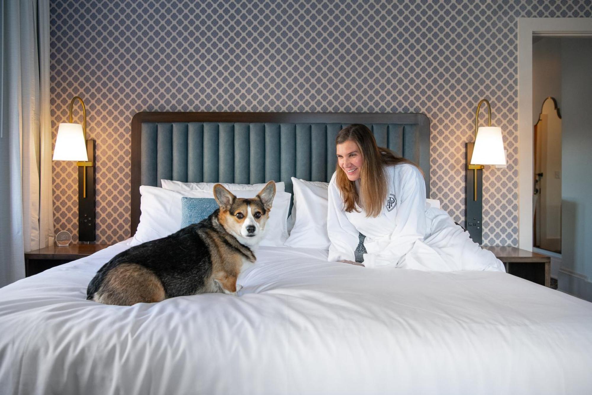 Hotel Petersburg, Tapestry Collection By Hilton Exteriér fotografie